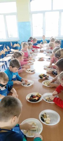 b_1024_768_0_00_images_2023_2024_Zerowki_Salatki_394126946_792229546038329_3620872858833156606_n